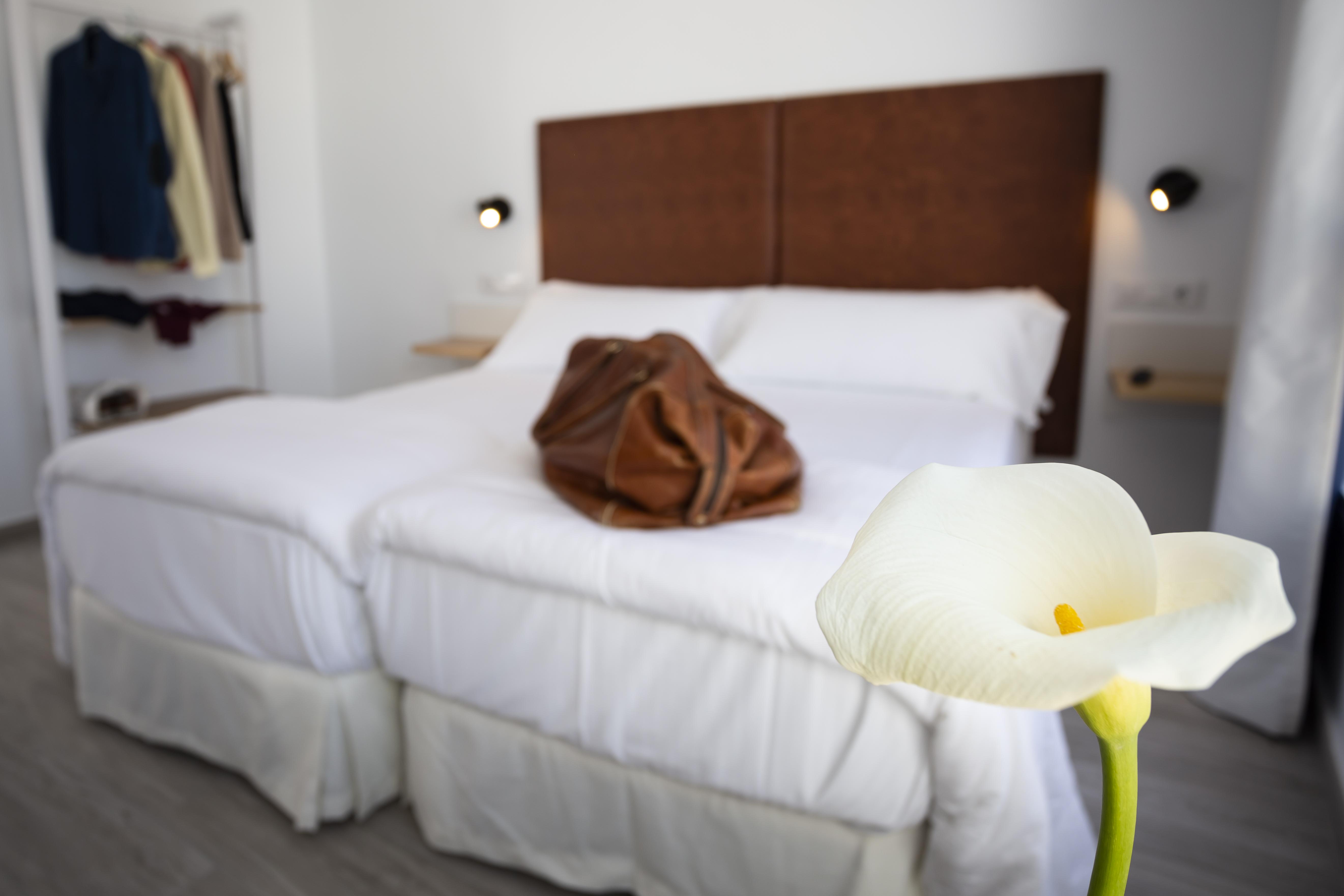 Basic Hotel Sevilla Catedral Exterior photo